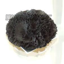 工業磁粉